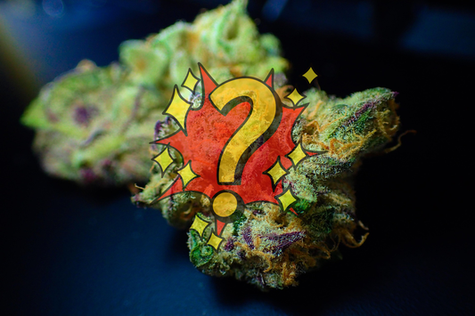 CBD Flower Flavor of the Month